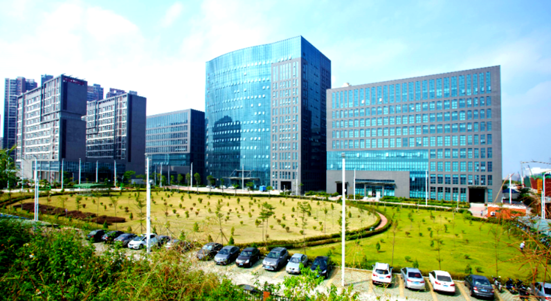 蔬菜移栽机在露地及覆膜栽培模式下的应用技术要点